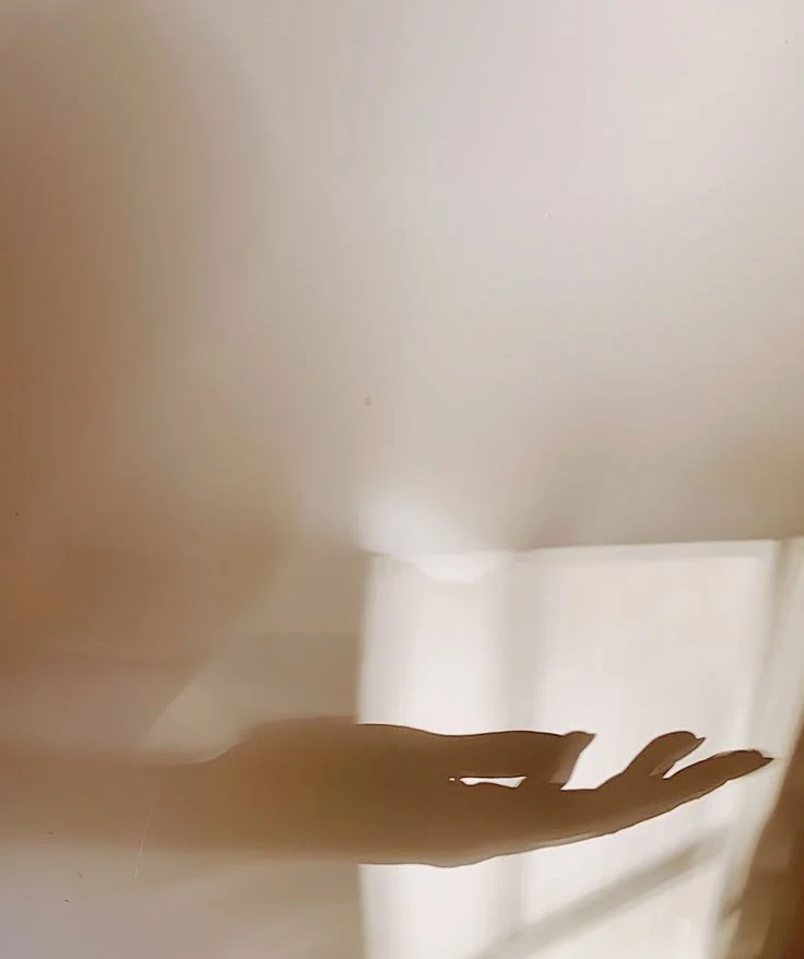 Shadow of a hand cast across a sunlit wall.